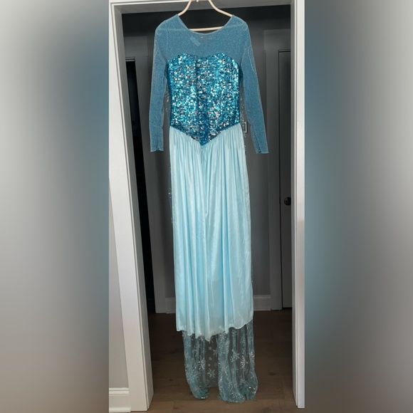 Adult Elsa Frozen Dress Costume - Picture 5 of 11